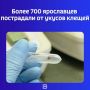 Статистикой поделилась пресс-служба регионального отделения Роспотребнадзора