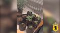 � ����������� ������ ������������ ������� ����������� ������������� � �������� � ����� ����������