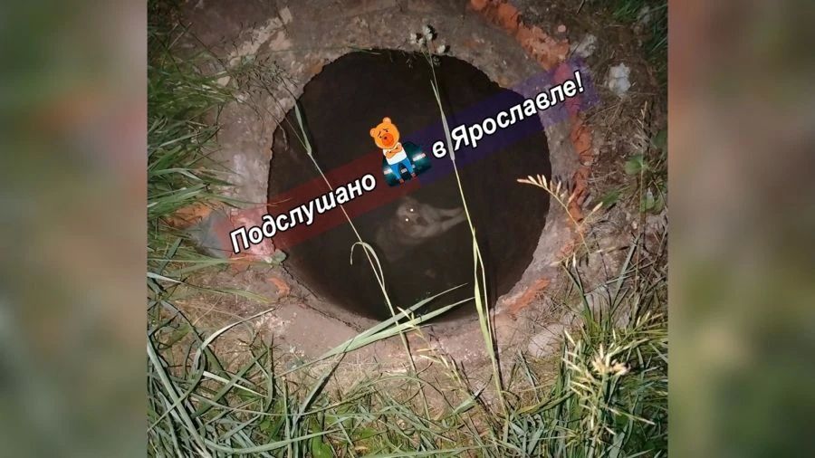 В Ярославле собака провалилась в открытый люк