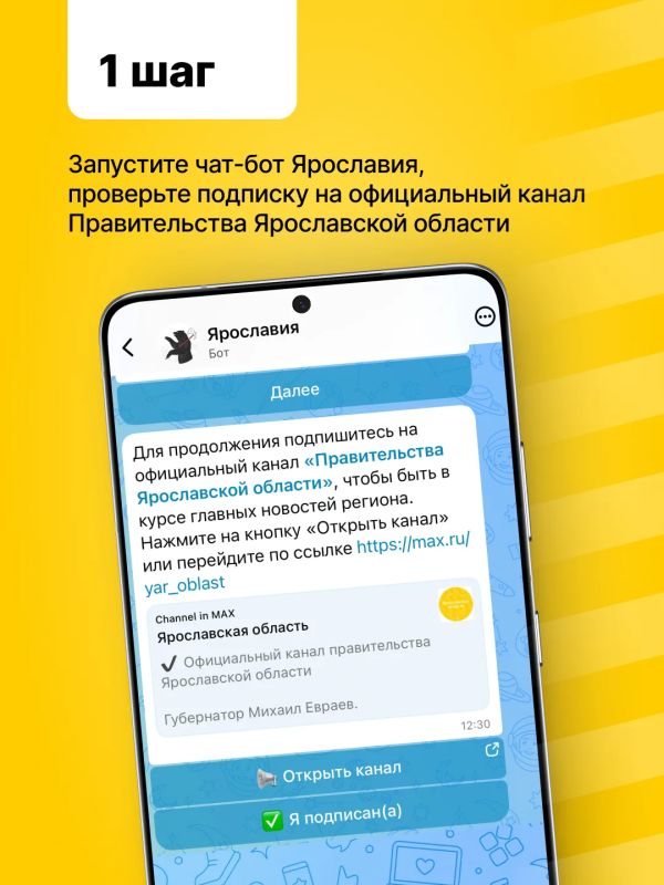 Память о чемпионстве «Локомотива» увековечат в названии городского объекта Память о чемпионстве «Локомотива» увековечат в названии городского объекта