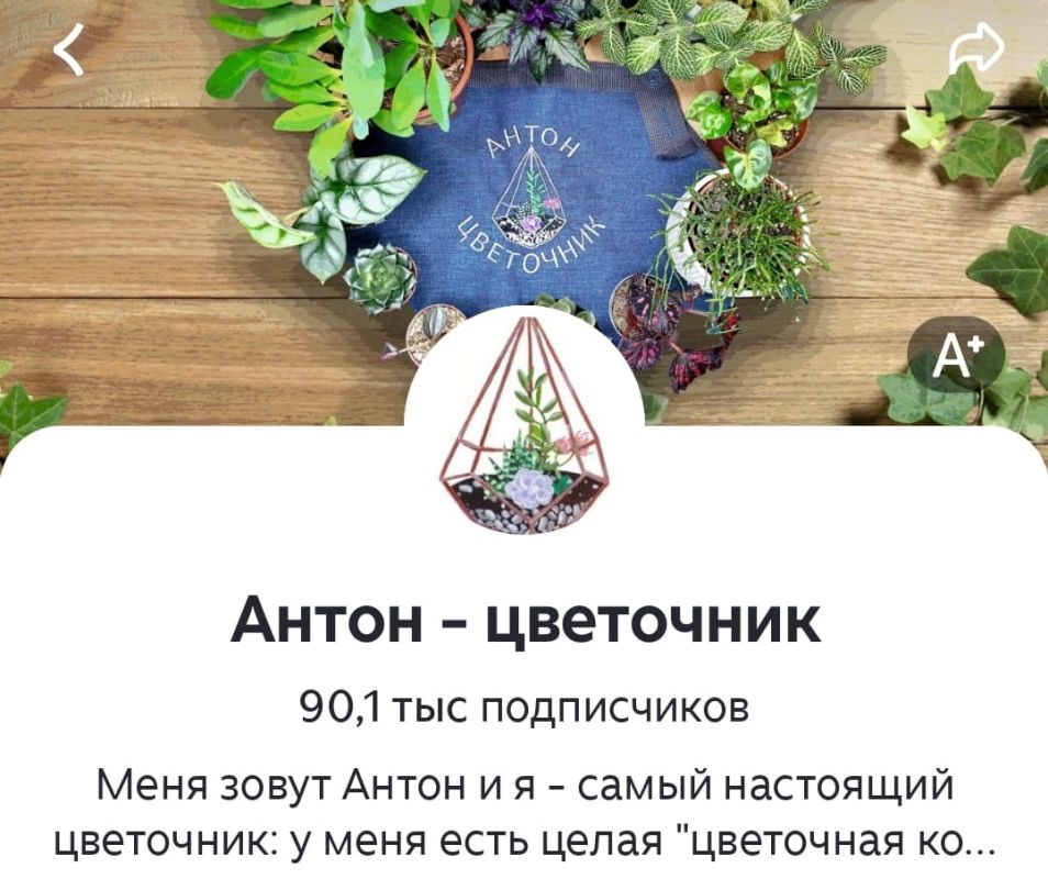 Вдохновляющий успех: блог о загородной жизни набрал 90 тысяч подписчиков
