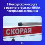 �� ���� ������� ���������� ������� ������ ������