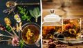 Травяной чай: как ежедневное употребление меняет ваше тело