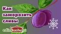 Секреты зимнего хранения слив: два простых способа заморозки