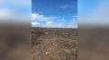 � ���������� ������ ����������� ������� �������� ���������� �� �������� ��������