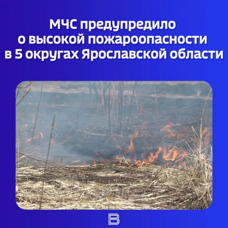 Региональное управление МЧС выпустило экстренное предупреждение на 2 июля