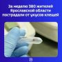 Управление Роспотребнадзора по Ярославской области сообщает: с 22 по 28 июня за медицинской помощью обратились 380 человек