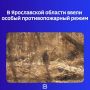 Со вчерашнего дня, 2 июля, на 21 день в регионе установился запрет на разведение костров, сжигание сухой травы, мусора и отходов