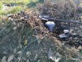 Как создать идеальный грунт для рассады: советы по заготовке и обработке
