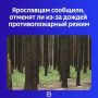 Повлияет ли дождь на действие особого противопожарного режима? Такие вопросы представителям органов власти начали задавать в соцсетях
