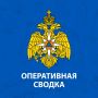 В Ярославской области за прошедшие сутки 06 июля: