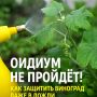 ������: ��� �������� �������� �� ��������� ����� ���� � ��������� ������