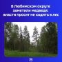 ��������� �� ���� ����. ������ ������������� ������ �������������� ��������������: