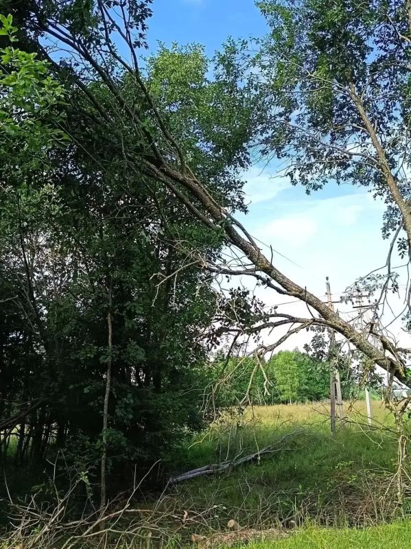 Ярославские энергетики восстановили межпоселковые линии электропередачи после стихии Ярославские энергетики восстановили межпоселковые линии электропередачи после стихии