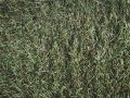 Как скошенная трава становится настоящей находкой для вашего сада