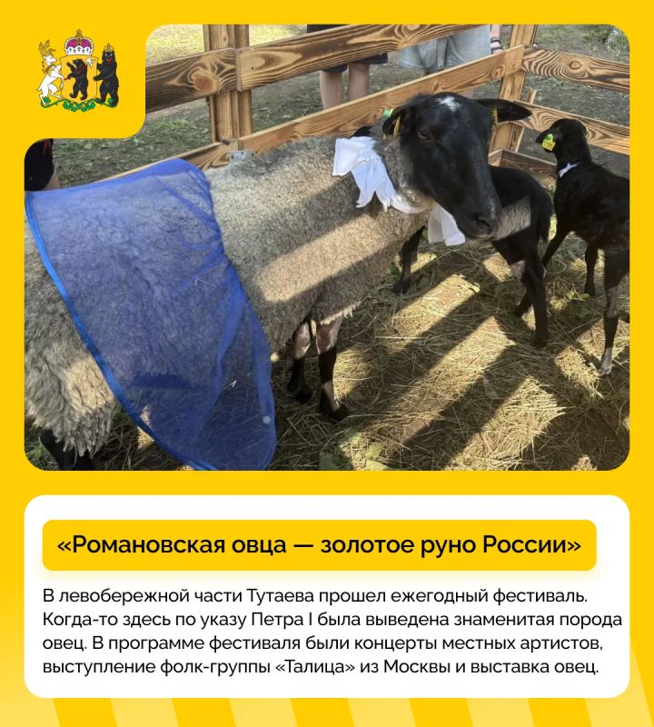 #дайджест_событий: насыщенная мероприятиями неделя прошла в регионе #дайджест_событий: насыщенная мероприятиями неделя прошла в регионе