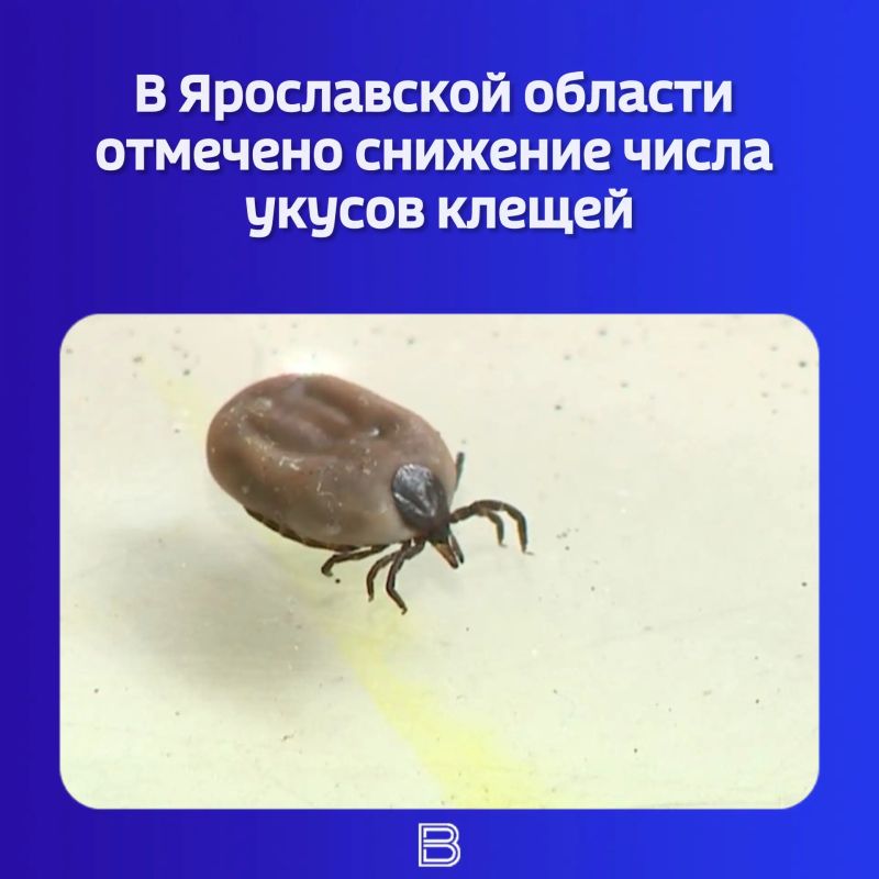 По данным регионального Роспотребнадзора, за прошедшую неделю зафиксировано 160 случая — и это меньше, чем в прошлый раз