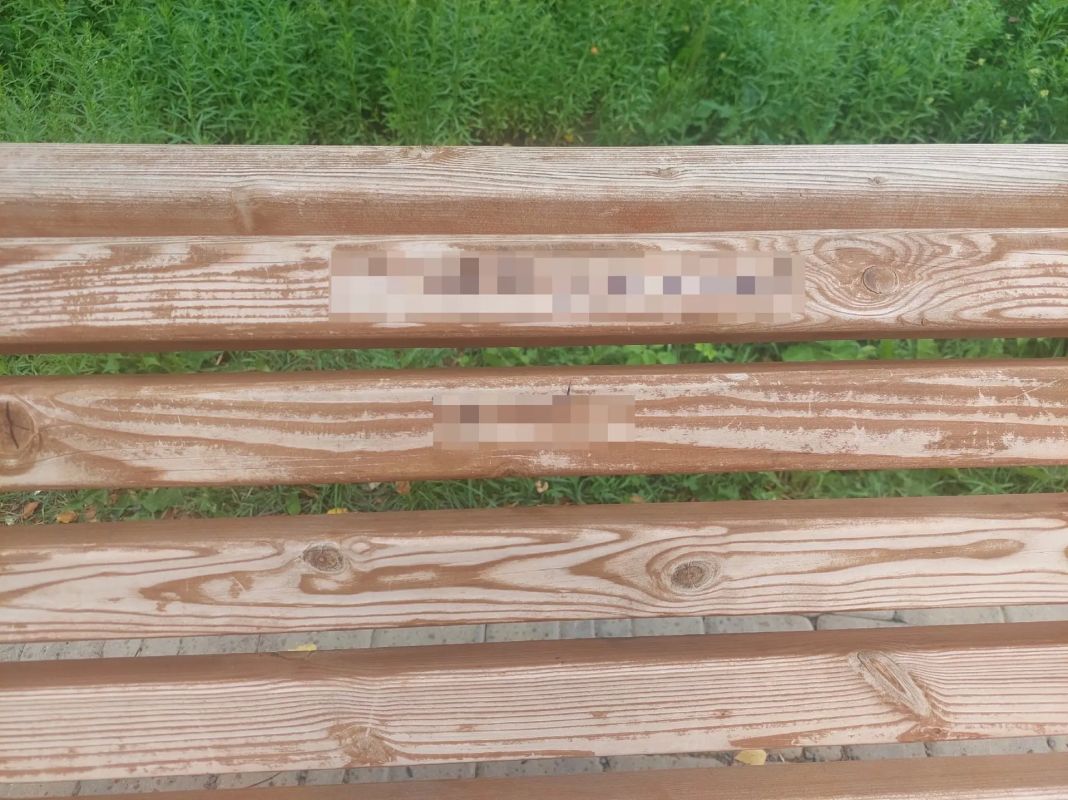 Новые качели и обезображенные зайцы: в Красных Ткачах пострадала зона отдыха Новые качели и обезображенные зайцы: в Красных Ткачах пострадала зона отдыха