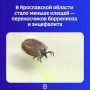 Хорошие новости от регионального Роспотребнадзора: