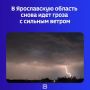 �� ������ ������������� ���������� ���, ������, 6 �������, � ������� ���� ����� �������� ������
