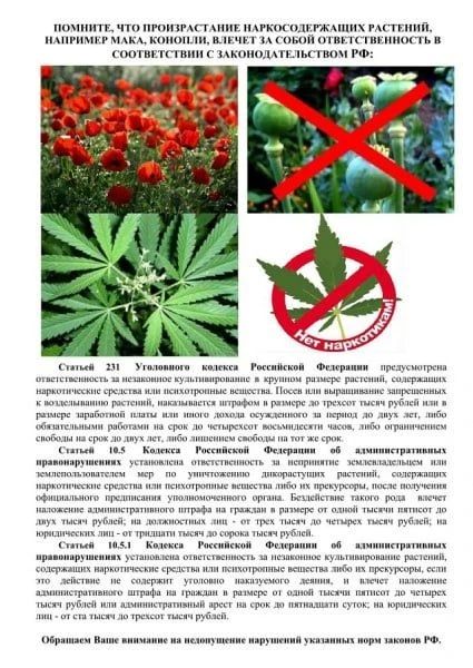 В Ярославской области подведены итоги первого этапа ОПМ «Мак-2026»