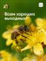 Приманиваем выходные даже без меда
