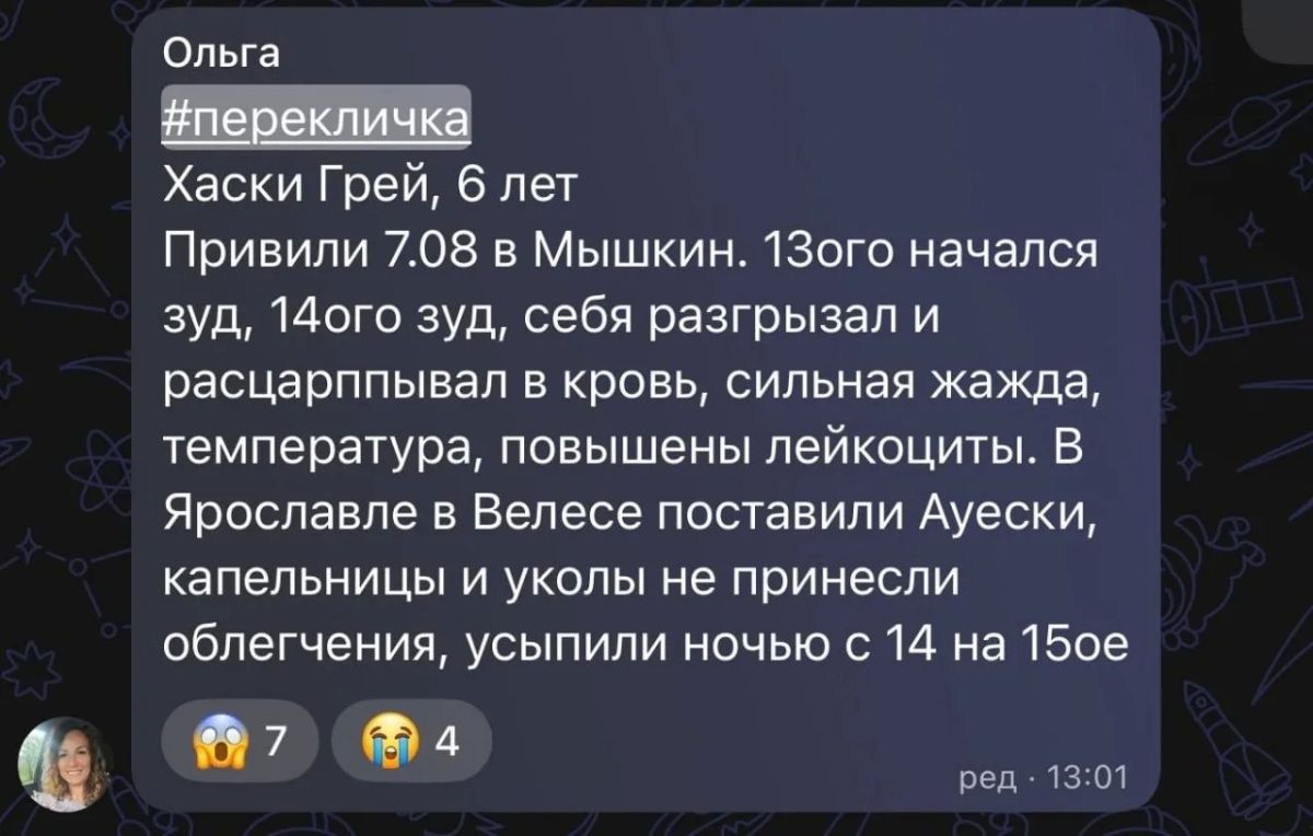 В Ярославской области собаки массово гибнут после прививки от бешенства. О подобных случаях рассказали сразу несколько человек В Ярославской области собаки массово гибнут после прививки от бешенства. О подобных случаях рассказали сразу несколько человек
