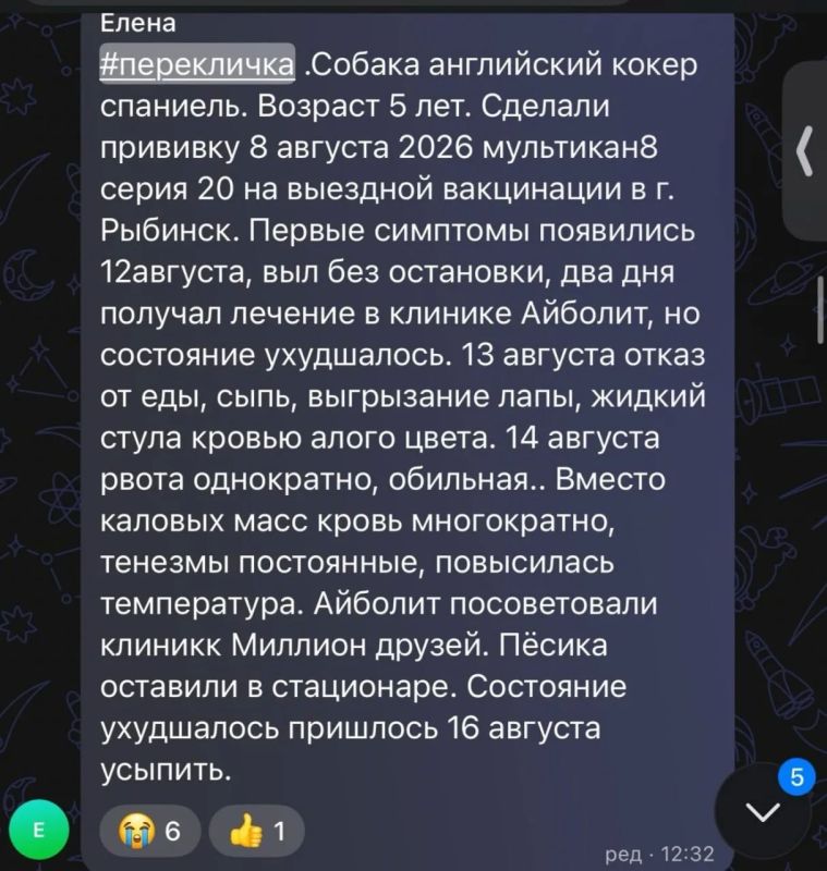В Ярославской области собаки массово гибнут после прививки от бешенства. О подобных случаях рассказали сразу несколько человек В Ярославской области собаки массово гибнут после прививки от бешенства. О подобных случаях рассказали сразу несколько человек