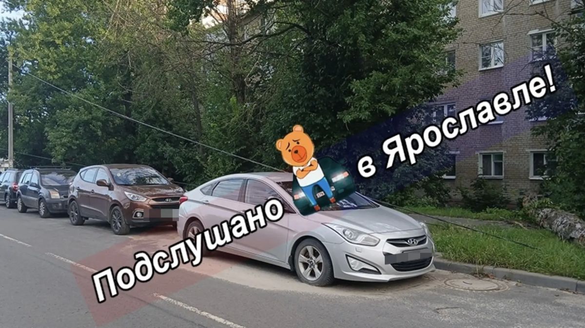 Во Фрунзенском районе Ярославля упавшее дерево повредило провода Во Фрунзенском районе Ярославля упавшее дерево повредило провода
