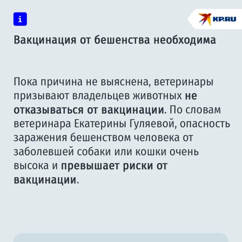 В первых пробах "Мультикана" не нашли смертельного для собак вируса В первых пробах "Мультикана" не нашли смертельного для собак вируса