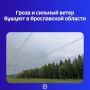 Экстренное предупреждение о непогоде распространило накануне региональное МЧС России