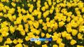 Стартовала последняя рабочая неделя лета