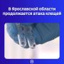Лето подходит к концу, но расслабляться любителям прогулок на природе ещё рано