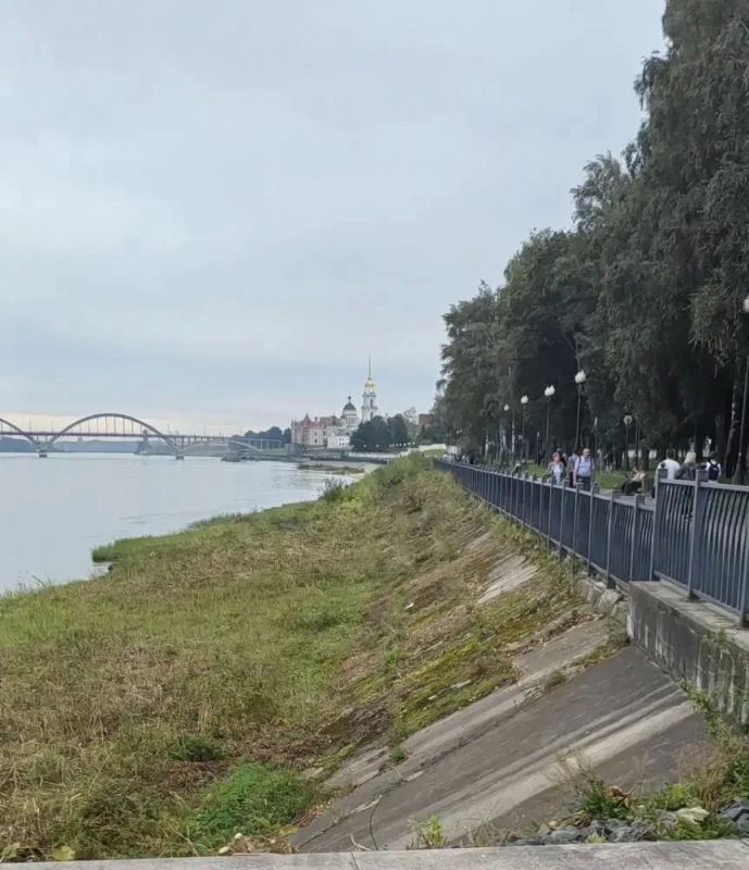 Дмитрий Рудаков: Завершили расчистку берега Волги от зарослей Дмитрий Рудаков: Завершили расчистку берега Волги от зарослей