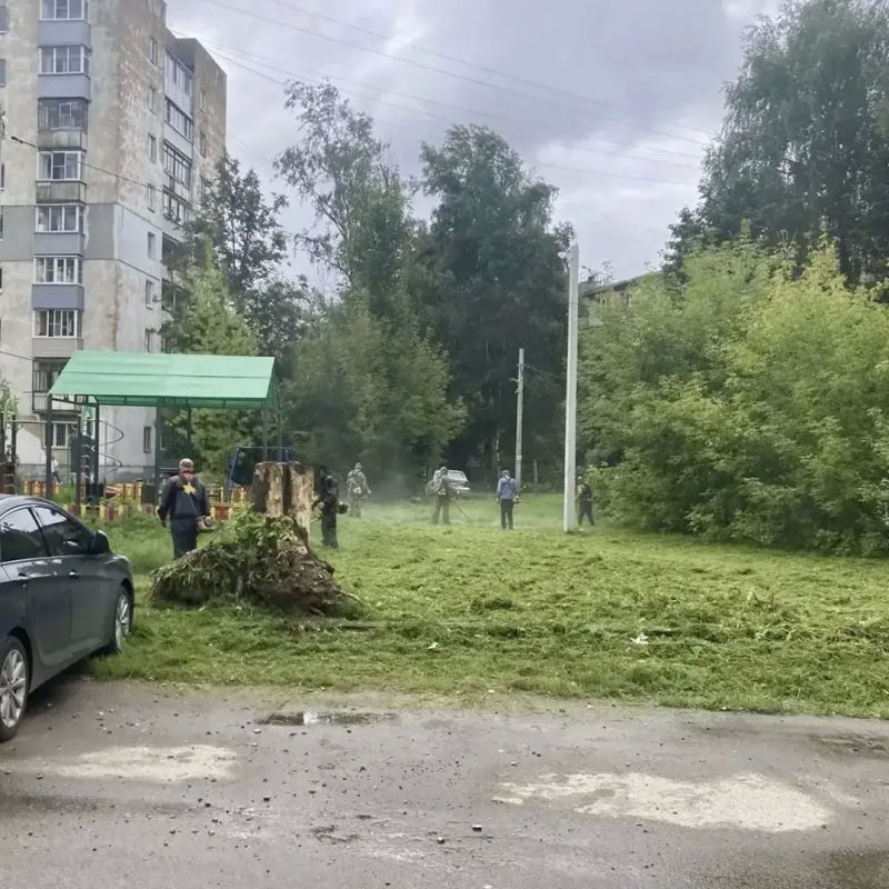 Артём Молчанов: На системной основе проводим работы по покосу травы во всех районах города Артём Молчанов: На системной основе проводим работы по покосу травы во всех районах города