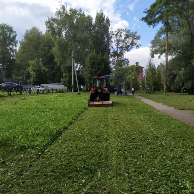 Артём Молчанов: На системной основе проводим работы по покосу травы во всех районах города Артём Молчанов: На системной основе проводим работы по покосу травы во всех районах города