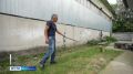 В Ярославль из Луганска едет львица Симона