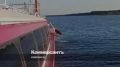 В Ярославской области пассажирский теплоход, следовавший по маршруту Углич – Рыбинск – Тутаев – Ярославль, сел на мель в акватории Волги