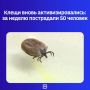 В региональном Роспотребнадзоре привели статистику с 17 по 23 августа