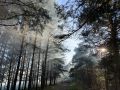 Какой будет погода в Ярославле на предстоящей рабочей неделе?
