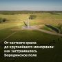 8 сентября в России отмечается День Бородинского сражения — День воинской славы