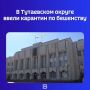Эпизоотический очаг был обнаружен в районе деревни Яковлево