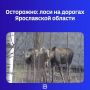 �������� ������ ������������� �������������� �� �������� ������� ������ ����� ������