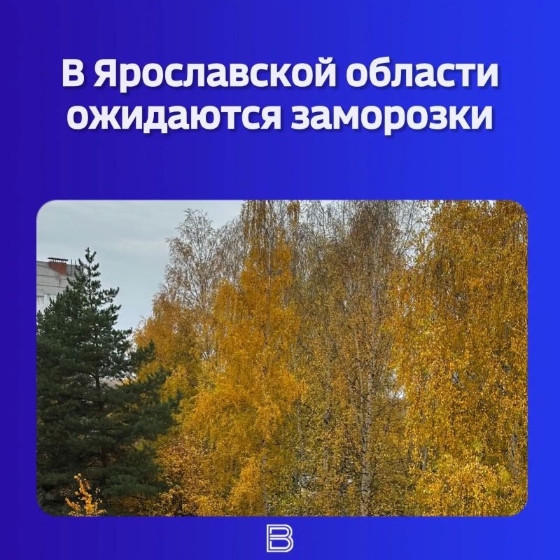 Осень решила не ограничиваться прохладой и дождями