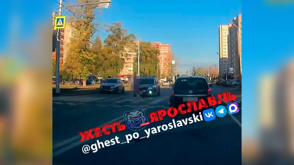 В Ярославской области в двух ДТП пострадали несовершеннолетняя и женщина-пешеход В Ярославской области в двух ДТП пострадали несовершеннолетняя и женщина-пешеход