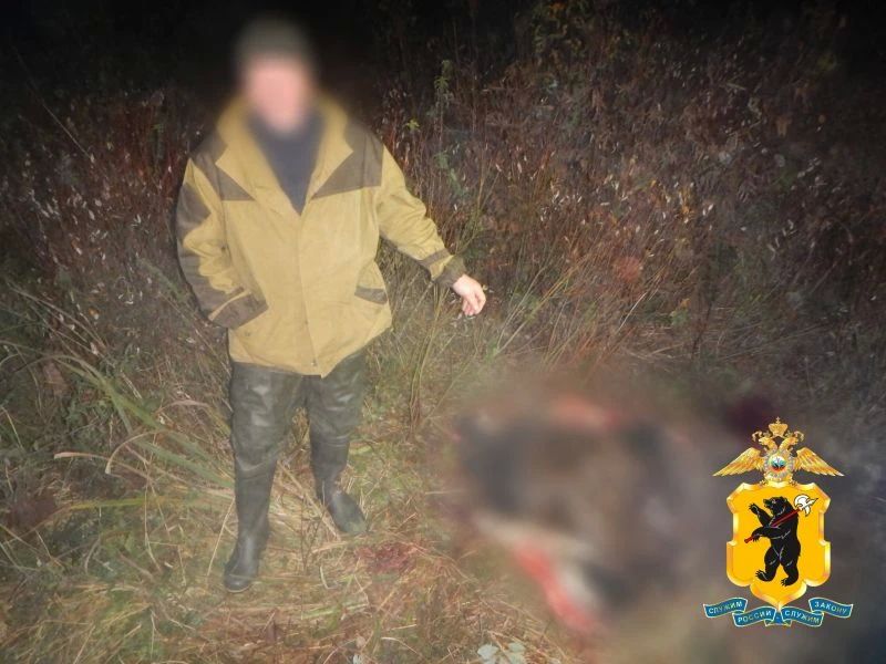 Ростовские оперативники по горячим следам задержали охотника, незаконно добывшего лося