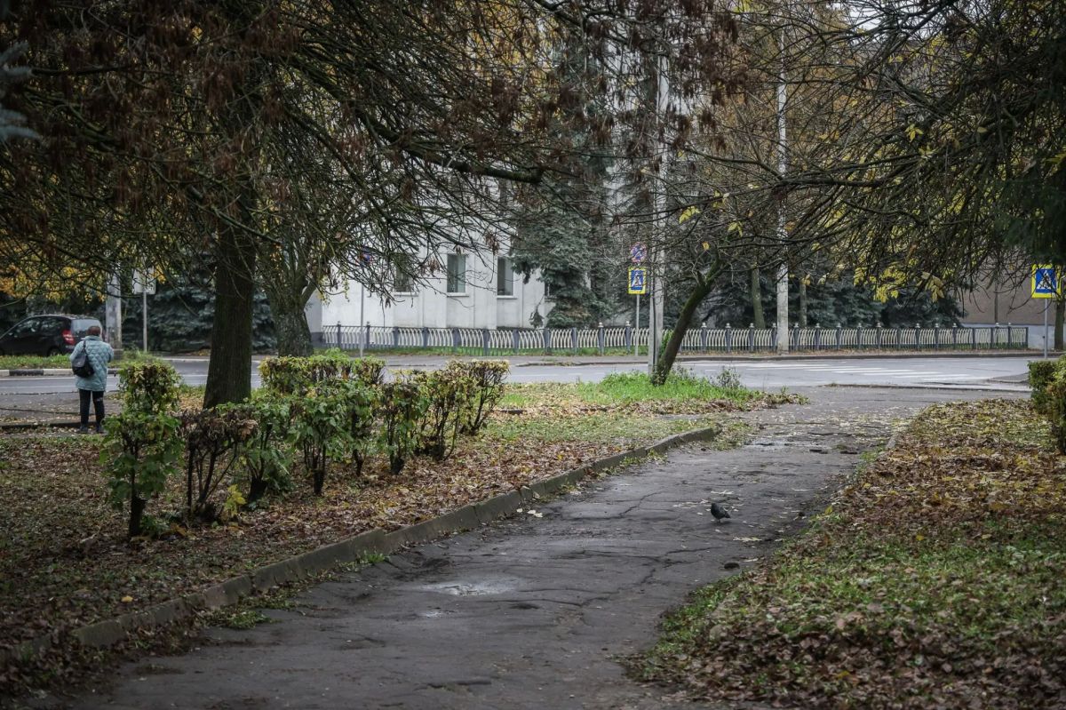 Дмитрий Рудаков проверил состояние территории микрорайона Полиграф