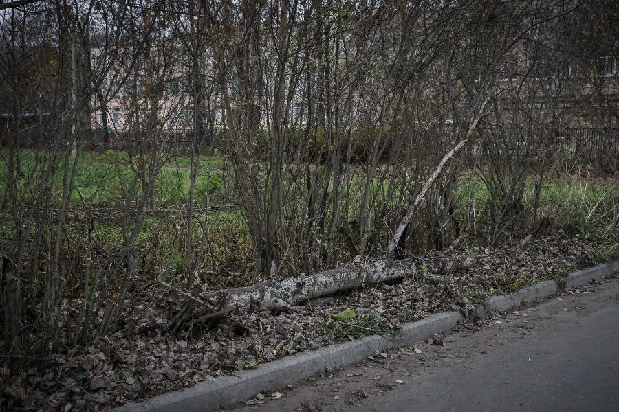 Глава Рыбинска провел рабочий выход в микрорайон Веретье Глава Рыбинска провел рабочий выход в микрорайон Веретье
